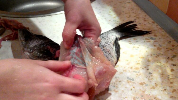 треска запеченная с луком . рыбу снять чулком