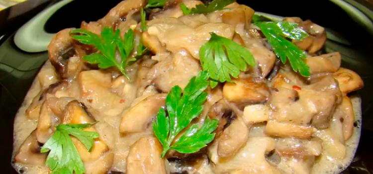 белые грибы тушенные с орехами в сметане. Романтический ужин на двоих дома